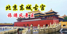 大鸡巴操小逼免费的视频中国北京-东城古宫旅游风景区